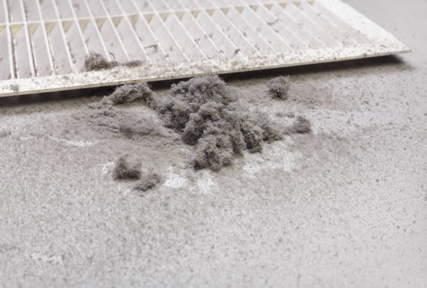Best Affordable HVAC Duct Cleaning  in Broxton, GA